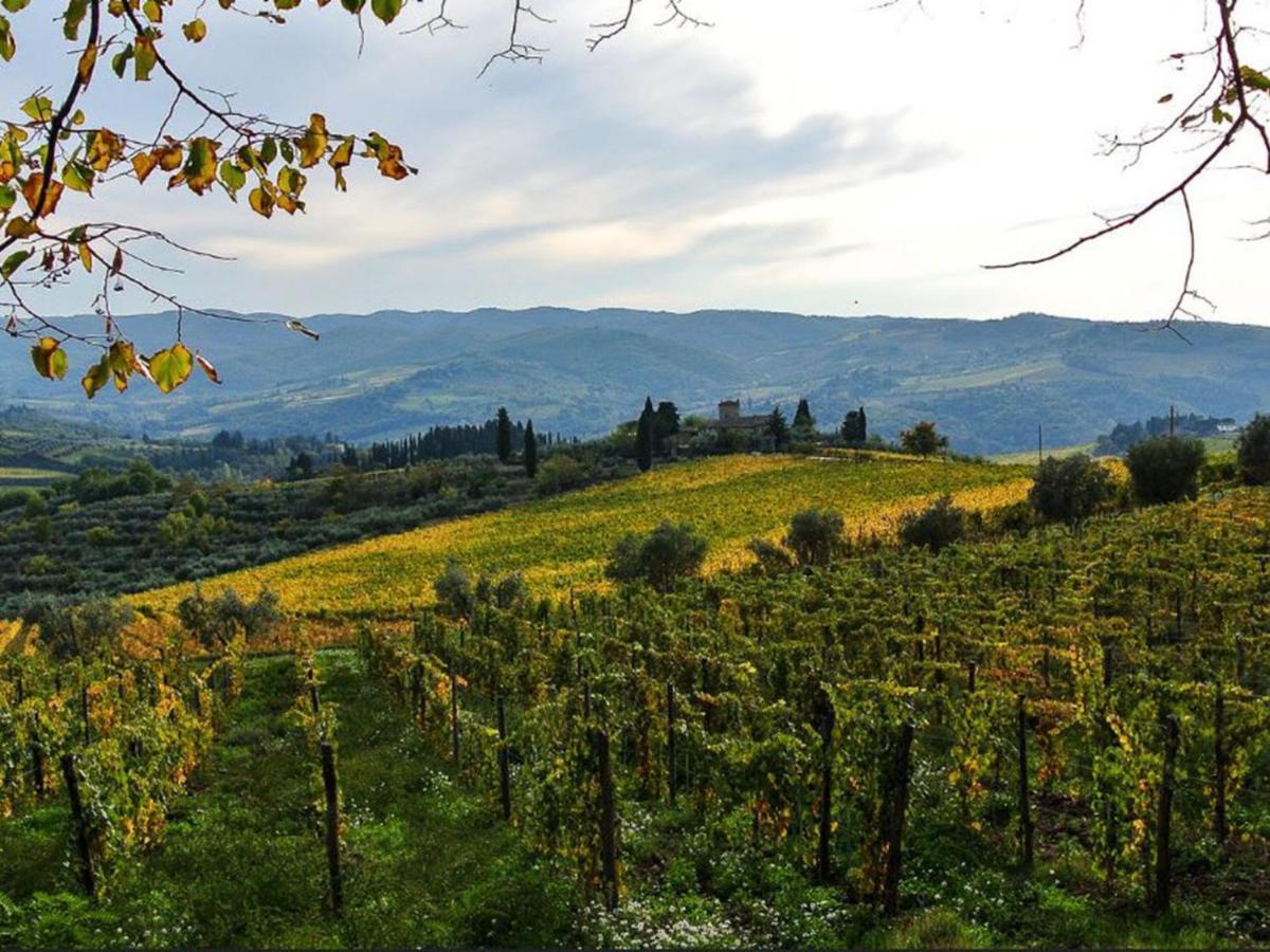 Holiday Home Locazione Turistica Selvapiana By Interhome Greve in Chianti Εξωτερικό φωτογραφία